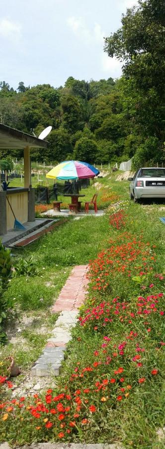 Kuntum Cottage Bed & Breakfast Kampung Tanjung Ipoh Kültér fotó