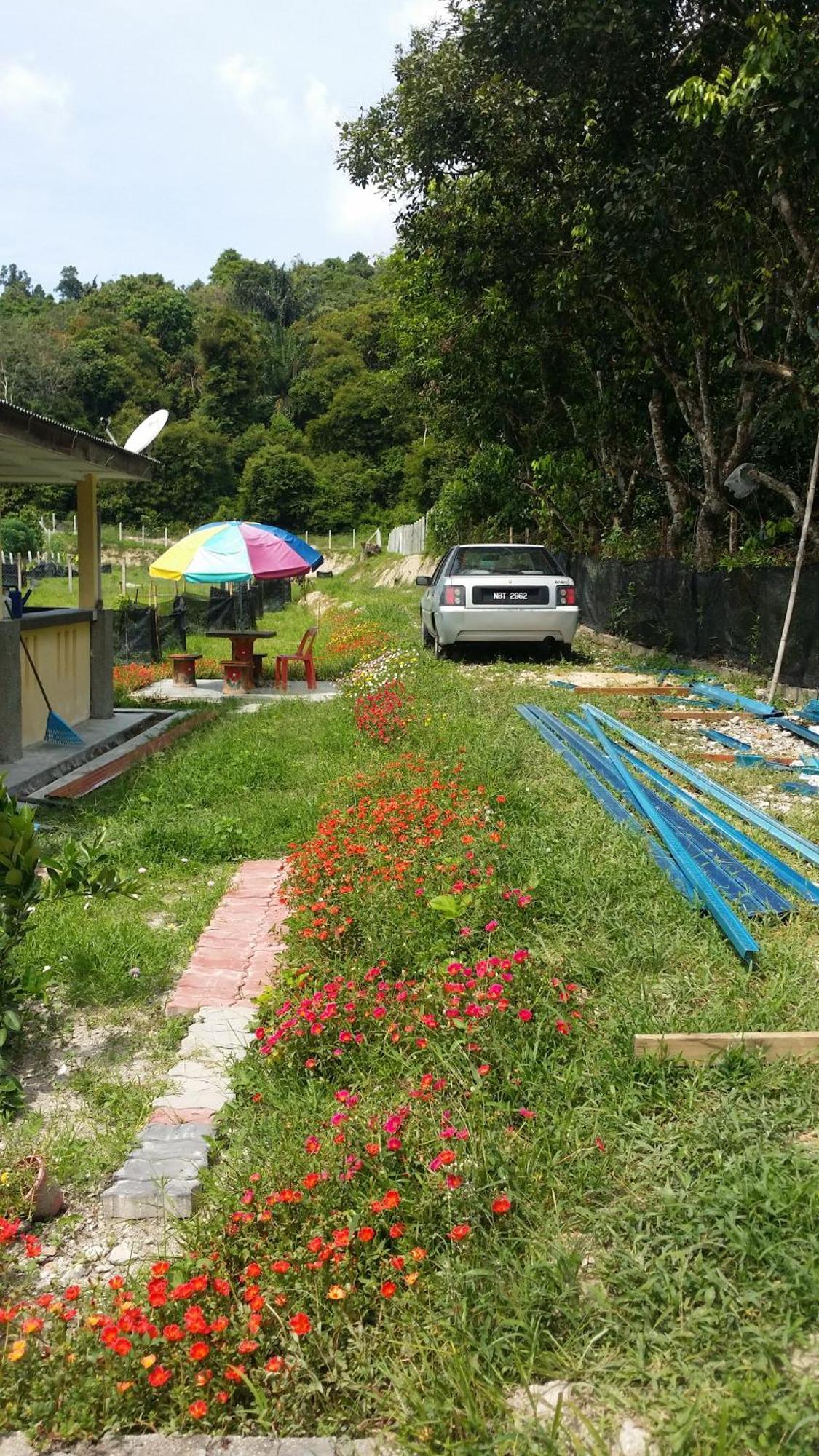 Kuntum Cottage Bed & Breakfast Kampung Tanjung Ipoh Kültér fotó